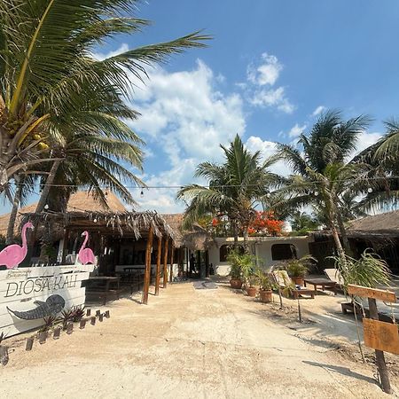 La Diosa Kali Beach Front Hotel 홀박스아일랜드 외부 사진