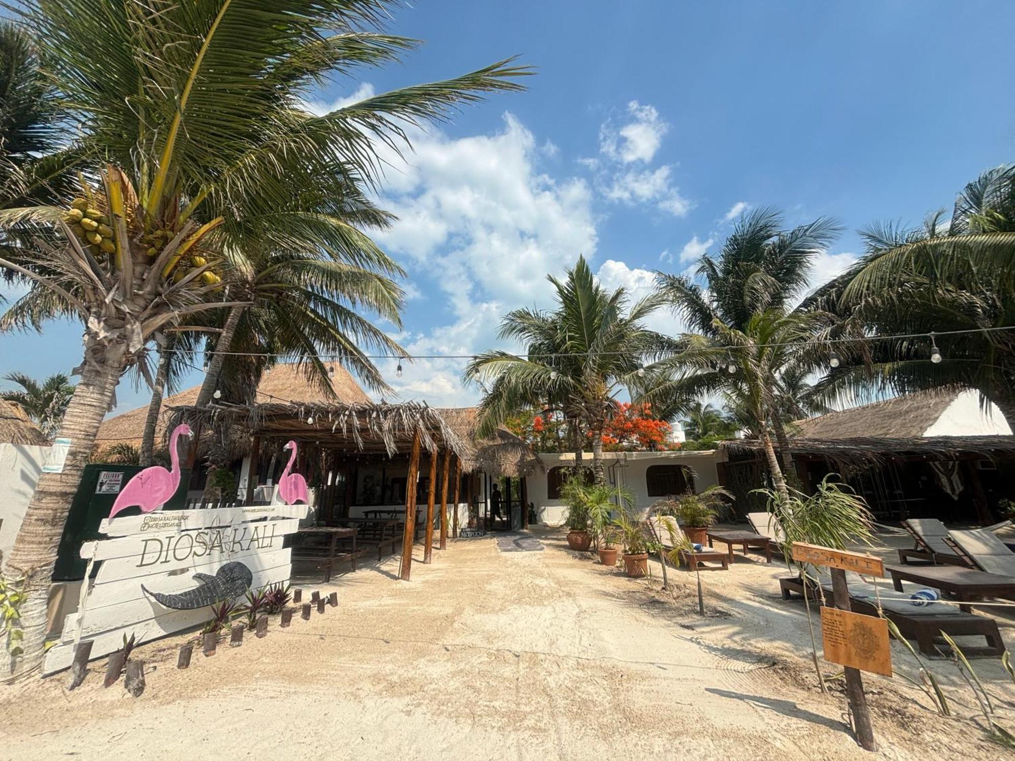La Diosa Kali Beach Front Hotel 홀박스아일랜드 외부 사진